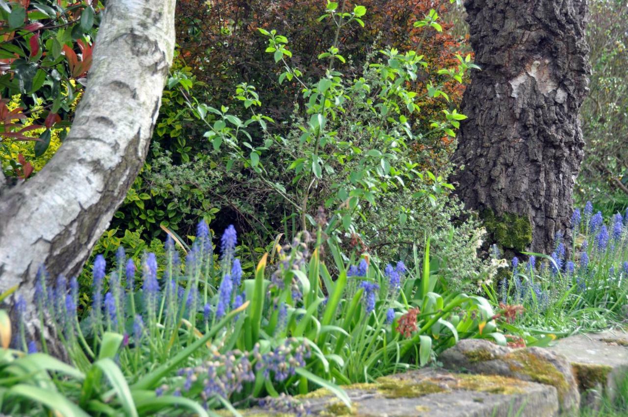 Bridleways Guesthouse & Holiday Homes Mansfield Bagian luar foto